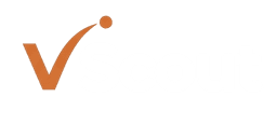VScout